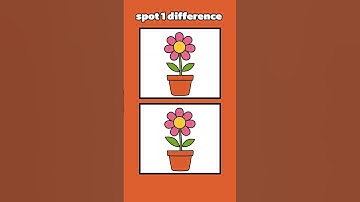 spot 1 difference #shorts