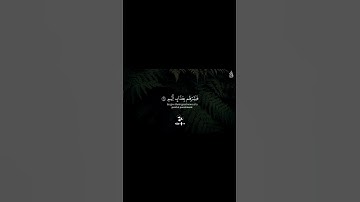 أرح سمعك🦋🤍    القارئ:عمر محجوب🦋🤍  حالات واتس اب دينيه🦋🤍   اكتب شيء تؤجر عليه يوم القيامه🦋🤍#متابعه