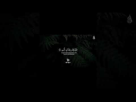 أرح سمعك القارئ عمر محجوب حالات واتس اب دينيه اكتب شيء تؤجر عليه يوم القيامه متابعه