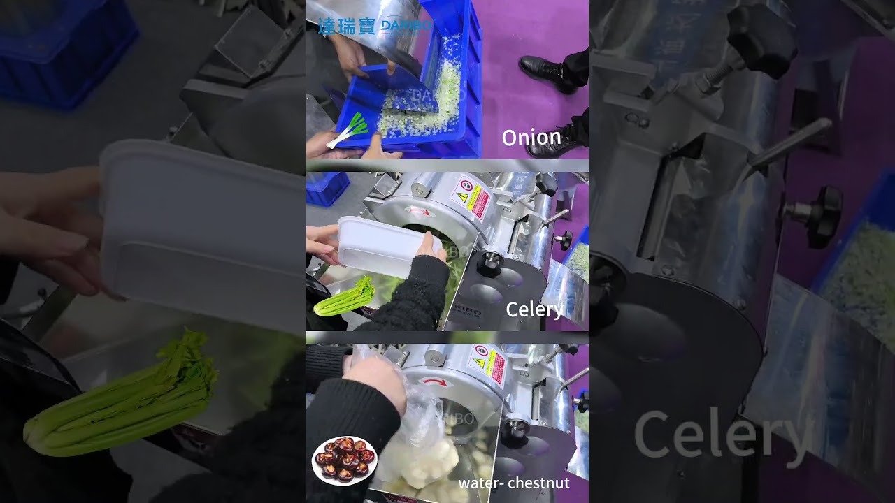 DRB-108S Vegetable & Fruit Cube Cutting Machine