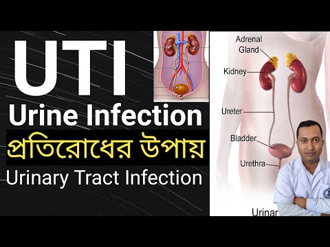 Urinary Tract Infection In Bengali | Uti Cause symptoms | ইউরিন সংক্রমনে করণীয় কি |