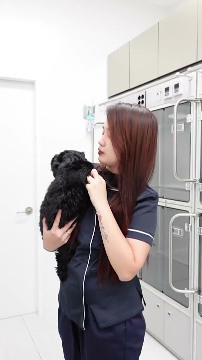 We work at Pet Hospital