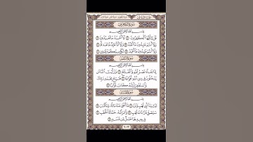 سورة المسد من الشيخ ماهر المعيقلي