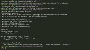 Qiling Framework - Running Wannacry PE32 on Ubuntu
