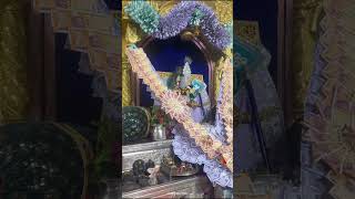 New Bhajan #viral #singer #bhajan #love #om #live #krishna #music #brijbihari #shiyam #god #comedy
