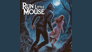 Run little mouse