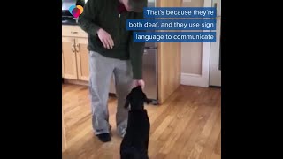 Deaf man adopts deaf pup and teaches commands using sign language