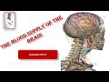 The blood supply of the brain- Arterial SUPPLY, Internal Carotid Arteries, Vertebral Arteries