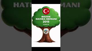🌳🌱 BOZOK HATIRA ORMANI FİDAN DİKİM ETKİNLİĞİ 🌱🌳