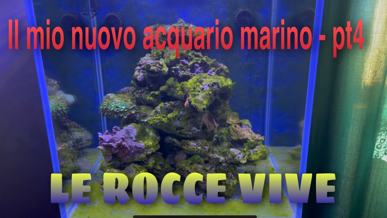 Il mio nuovo acquario marino - pt4 (le rocce vive) - YouTube