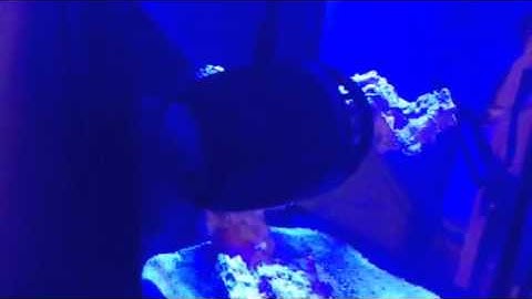 Vortech mp10 quiet drive noise issues