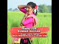 YESHU TOR SUNDAR BACHAN Mp3 Song