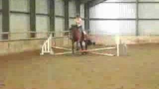 Flatwork Lesson.