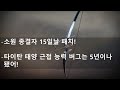 소원 종결자 패치! 기약 없는 활 무기 밸런스 패치 약속  -데스티니 가디언즈 셰도우 킵-