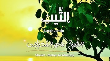 سورة التين / الشيخ ماهر المعيقلي / المصحف المرتل / Surah At-tin / Sheikh Maher Al-Muaiqly