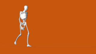 Moho - Import Poser Scene Test: Walk Cycle of Andy