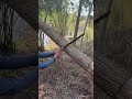 Cutting wood is also a technical task. #tools #farmer #tips #shorts