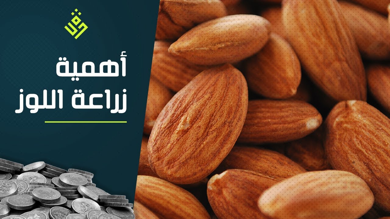 أهمية زراعة اللوز بالمغرب