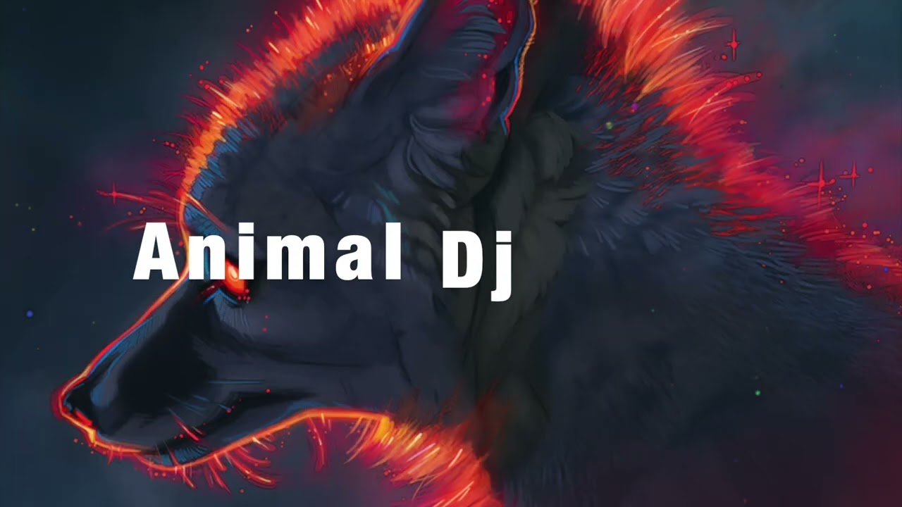 Animal Dj New Trailer!