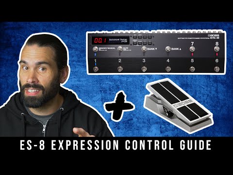 Boss ES-8 Expression