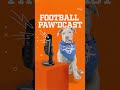 Zoomies Come First | Puppy Bowl