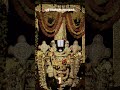 🌺 ஸ்ரீ வெங்கடேசாய நமஃ 🌺 #tirumala #tirupatibalaji #govinda #balaji #venkateswara #shorts #ytshorts