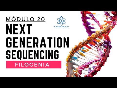 Vídeo: Anotação Do Genoma Da Próxima Geração: Ainda Lutamos Para Acertar