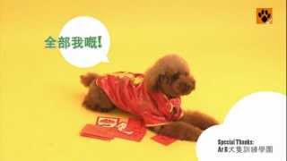 專業訓犬師　教你新春拜年動作訓犬技巧！【My Pet寵物閑情】 by MyPet PopArt 16,803 views 11 years ago 1 minute, 18 seconds