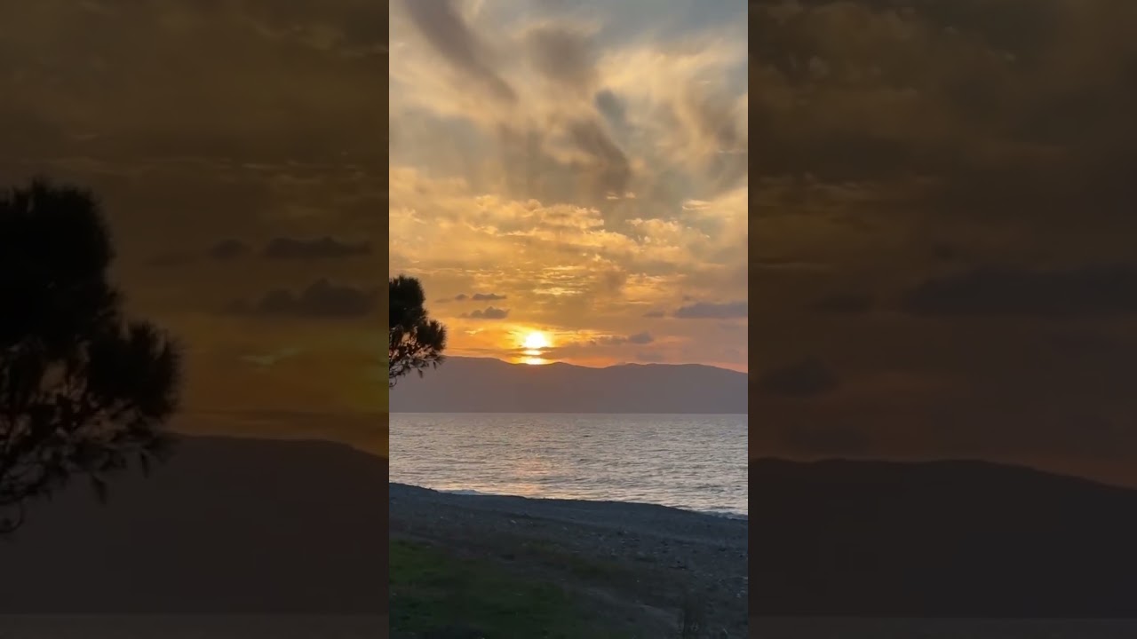 Whispering Pines: The Calm Blue Sea at Sunset on a Mediterranean Island