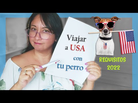 Video: La ciencia explica el aspecto mítico de los perros con dos colores de ojos diferentes