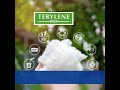 LCI | Terylene Clean