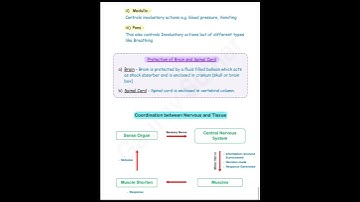control and coordination notes class 10 || pdf link in description