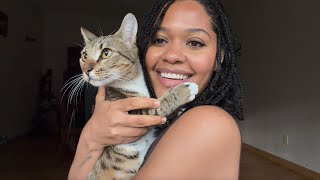 Moving to a New City: What Helps (routine, friends & pets) | PETKIT Purobot Max Pro 2