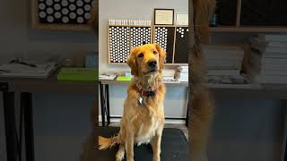 Oh My! It's Muscle Testing with Benny