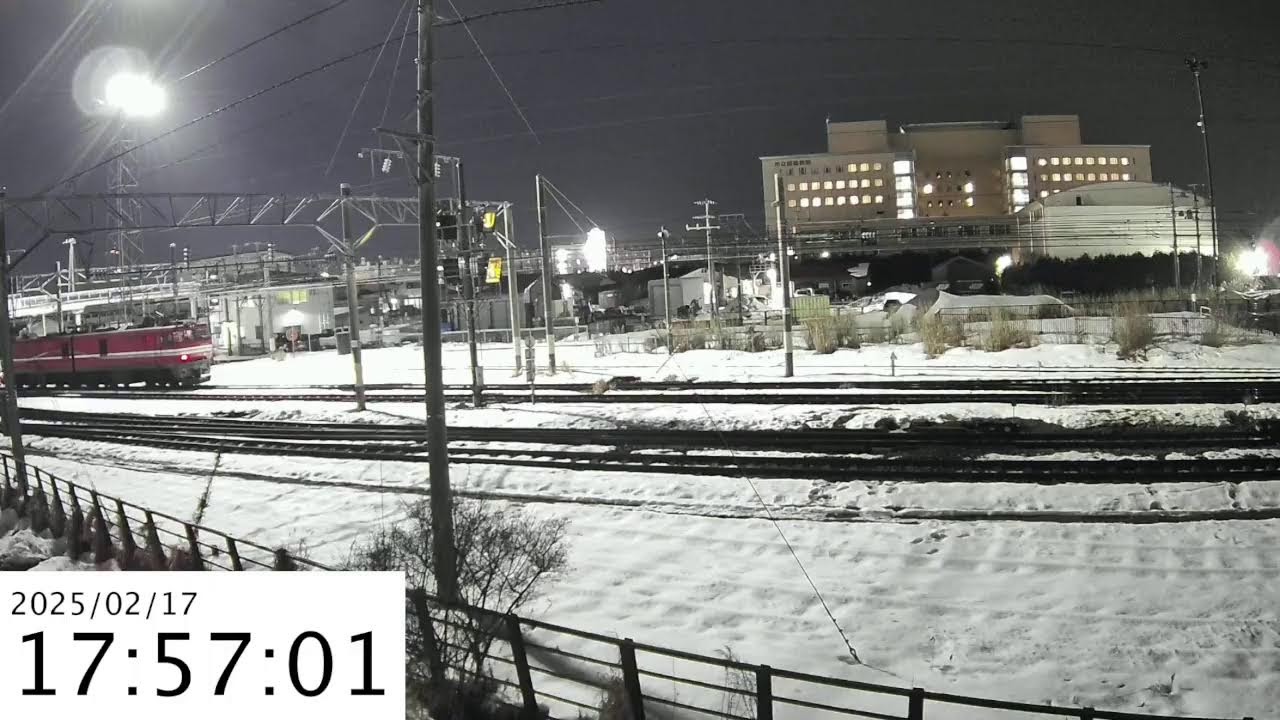 函館 ライブ カメラ 五稜郭