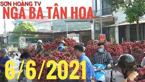 Cập nhật giá vải thiều lục ngạn vải Thanh Hà mới nhất 6/6/2021 tại ngã ba Tân Hoa