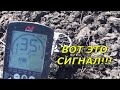 Коп весной в полях. Коп с MINELAB EQUINOX