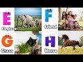 ABC Phonics Song - Toddler Learning Video Songs , A for Apple , Nursery Rhymes , Alphabet song
