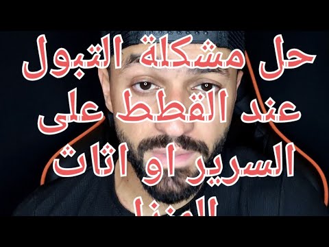 فيديو: كيفية قص الأظافر من دون كليبرز الكلب