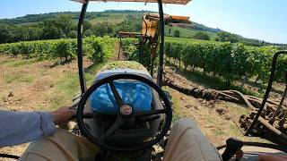 Cab View | New Holland 4040 | vineyard topping | cimatura del vigneto  | Tuscany Landscape
