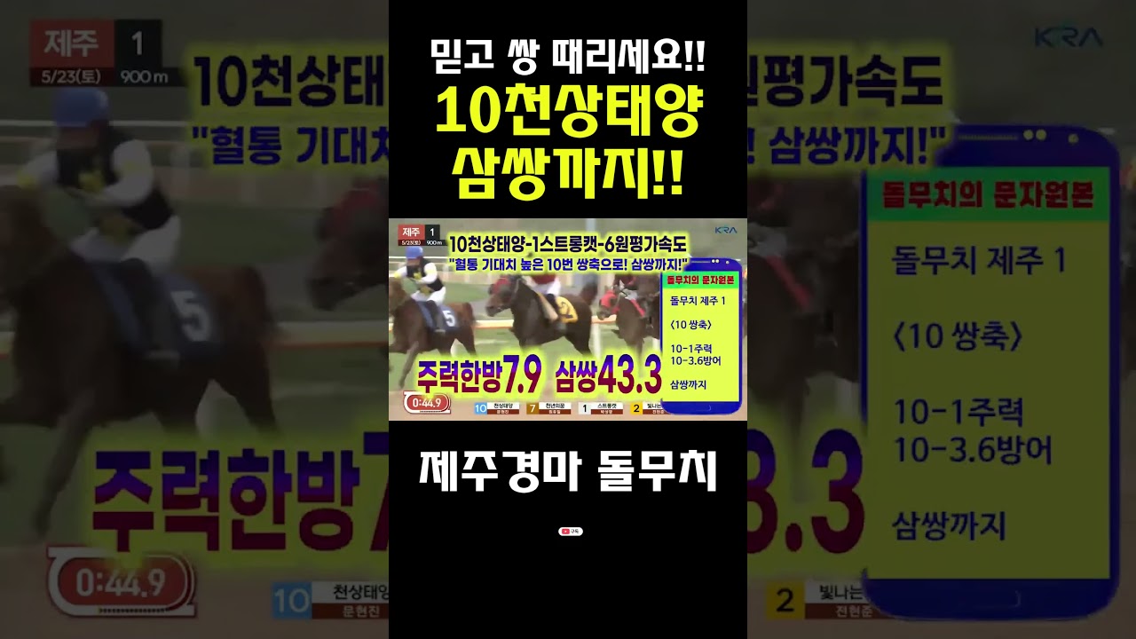 쌍까지! 쌍까지! 10번의 믿음! 화끈 돌무치의 제주경마 적중🎯
