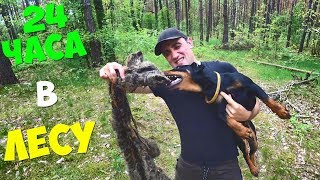 24 Часа в лесу! День рождения Бобби! Охота на кролика! Жареный кролик!