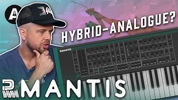 PWM Mantis - A Unique Analog Digital Hybrid Synth, the Best of Both Worlds?