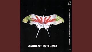 Epl femme Machine Remix By Terre Thaemlitz