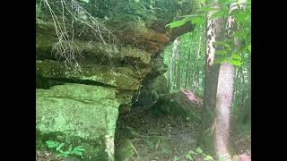 For Sale!! 91 Acres | Co Rd 1043 Vinemont, AL For Sale!! 91 Acres | Co Rd 1043 Vinemont, AL