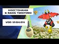 Vod  insectomania 2024  raids tokotoro  vendredi 12042024   pokmon go