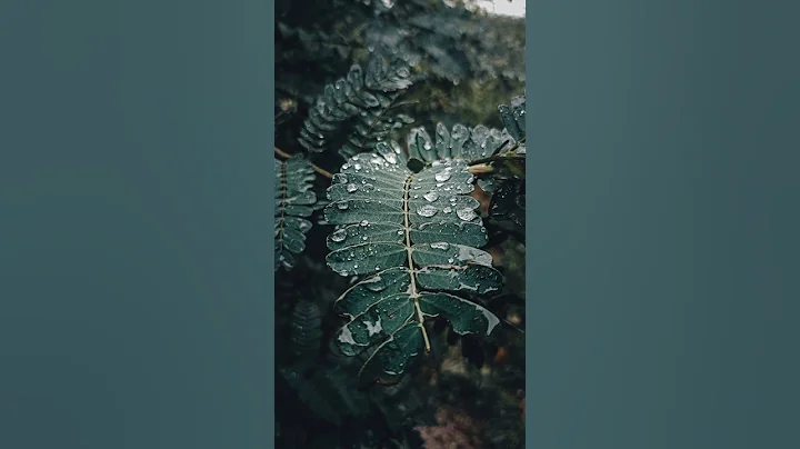 Creative photography tips and tricks with phone using pro mode 😲 mobile photography hacks #shorts