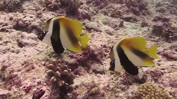 The Anthropocene Issue: "1972" episode