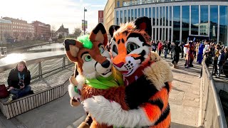 Fursuit Parade at NordicFuzzCon 2024 with Tiaki Tiger and Betelgeuse the Fox - Nordic Fuzzcon