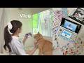 懐かしの3DSデコ🎮✨引きこもってポケモンとあつ森を遊ぶ休日🏡vlog